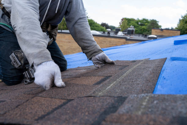 Professional Roofing Contractor in Lebanon South, PA